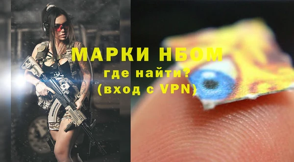 прущие грибы Абинск