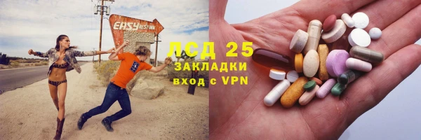 прущие грибы Абинск