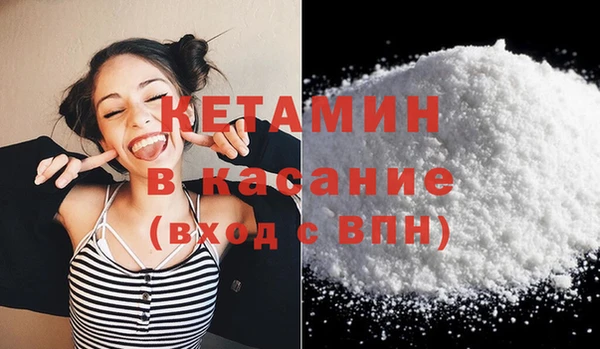 прущие грибы Абинск