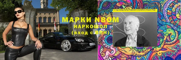 прущие грибы Абинск