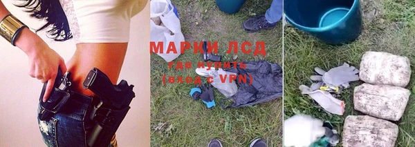 прущие грибы Абинск