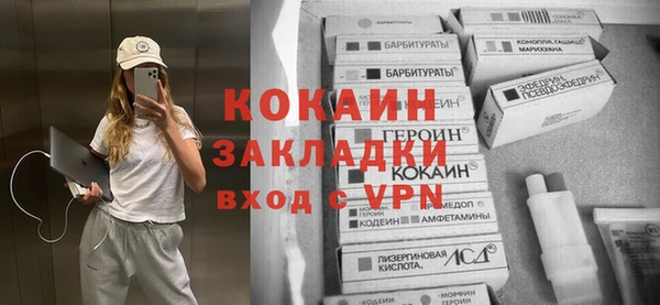 прущие грибы Абинск