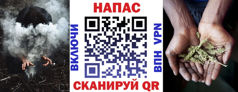 Канабис конопля  купить наркотик  Судогда 